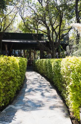 a walkway between two hedge hedges with a bench at Rancho Macloy Hotel Spa & Social Events in Yautepec