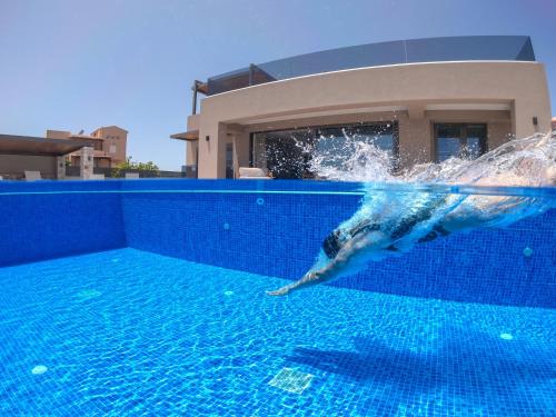 a dolphin in the water in a swimming pool at Imperium Luxury Villas-Sauna, Jacuzzi, Heated Pool & Gym-Chania in Kato Galatas