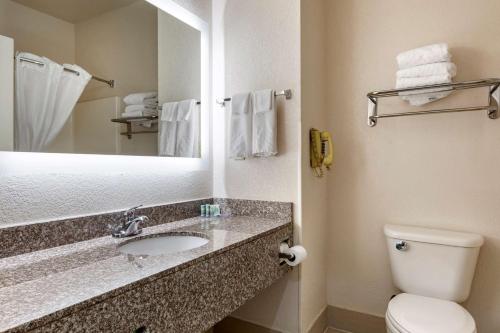 a bathroom with a sink and a toilet and a mirror at Best Western Palo Duro Canyon Inn & Suites in Canyon
