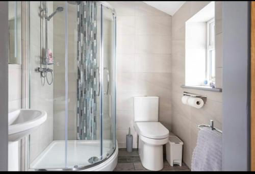 a bathroom with a shower and a toilet and a sink at The Moores Castle Holiday Suites in Prestatyn