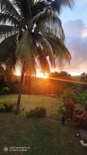 a palm tree with the sunset in the background at Villa tropicale charmant T2 dans un cadre verdoyant in Gros-Morne