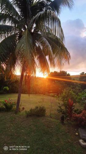 Villa tropicale charmant T2 dans un cadre verdoyant في Gros-Morne: نخلة مع غروب الشمس في الخلفية