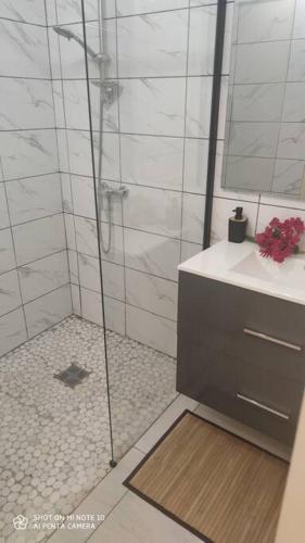een badkamer met een douche en een wastafel bij Villa tropicale charmant T2 dans un cadre verdoyant in Gros-Morne