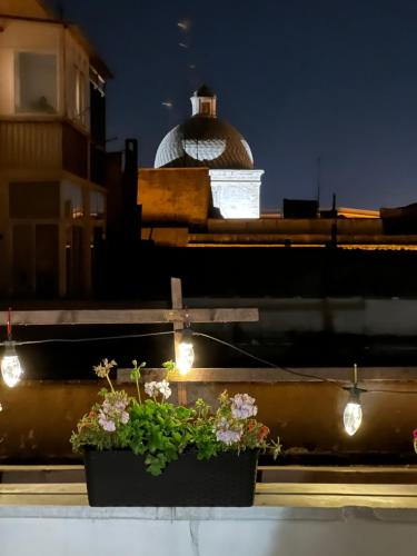 a pair of potted plants on a rooftop with lights at La Terrazza sul Tempio in Brindisi