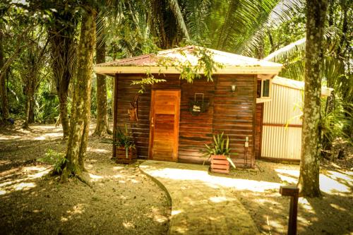 a small wooden cabin in the middle of trees at KikiWitz Resort in Belmopan