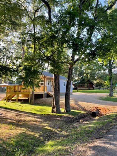 two trees and a bench in front of a house at Cozy Cabin in Crestwood Subdivision in Avinger