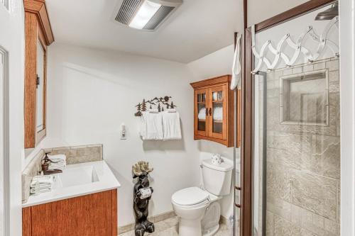 a bathroom with a toilet and a sink and a shower at Musick Creek Landing in Shaver Lake
