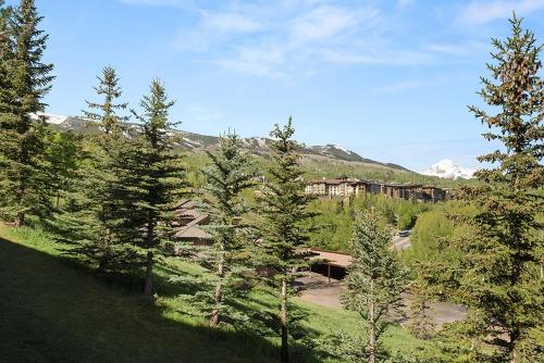a group of trees in a field with a building at 229 Faraway The Ridge #35 condo in Snowmass Village