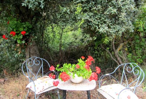 a table topped with chairs next to plants and flowers at Hostal Toscana in Ojedo