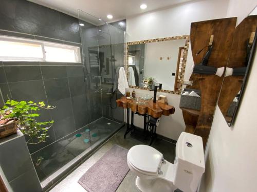 a bathroom with a shower and a toilet and a sink at Cabaña con tinaja en bosque Valdiviano in Valdivia