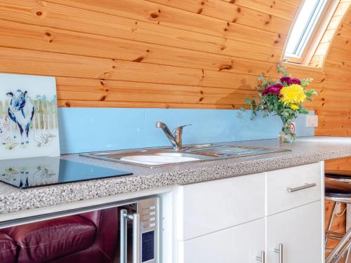 a kitchen with a sink and a counter top at Ewe Two in Flint