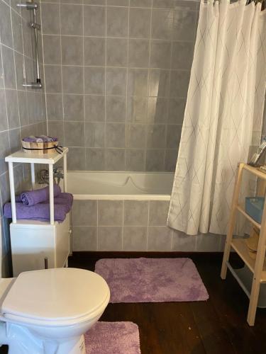 une salle de bain avec toilettes et baignoire dans l'établissement Castle View Menthon, à Menthon-Saint-Bernard