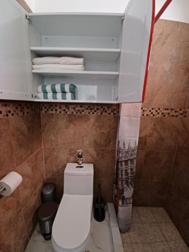a small bathroom with a toilet and a shower at Hacienda Gallardos 104-3 in San Carlos
