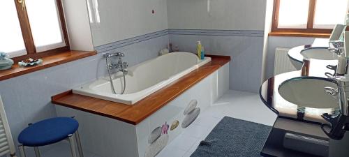 a bathroom with a bath tub and a sink at Cjase di Doro in Illegio