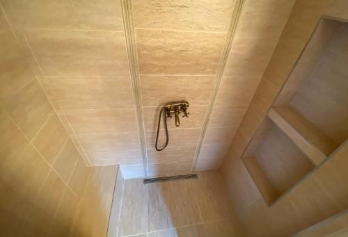 a shower in a bathroom with a hose in the ceiling at Gyopár Panzio in Izvoare