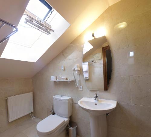a bathroom with a toilet and a sink and a skylight at Vila Preciosa in Alba Iulia
