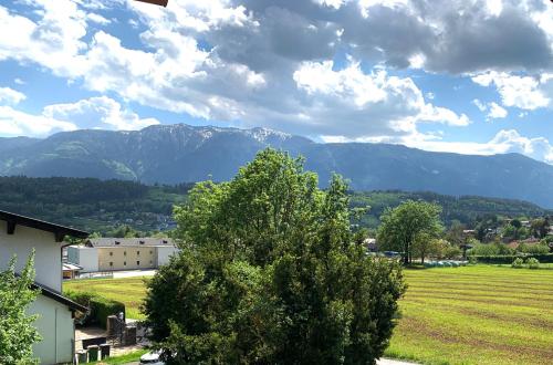 a tree in a field with mountains in the background at Maxi'Seeblick Apartments in Seeboden