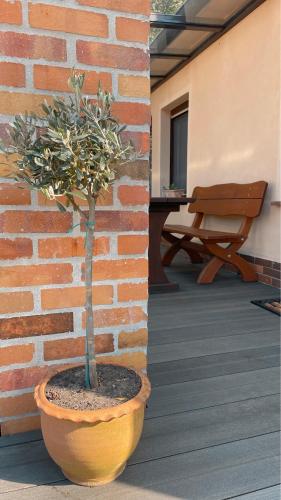 a plant in a pot next to a brick wall at Ferienwohnungen Weise im Lausitzer-Seenland in Großräschen