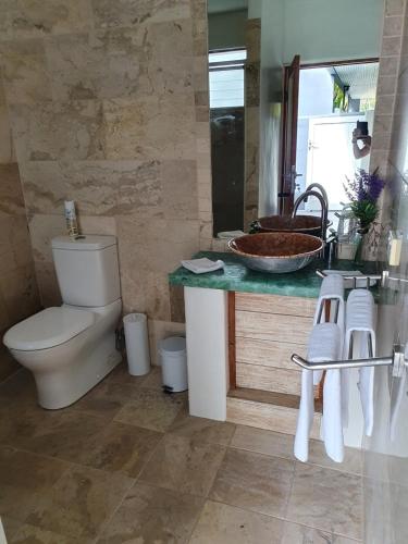 a bathroom with a toilet and a sink at Beachside Apartment 1 with plunge pool in Port Douglas