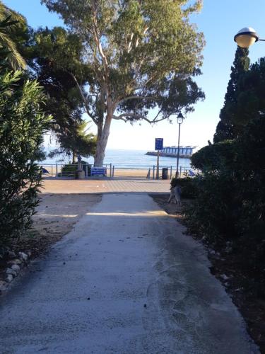 a dog sitting on a sidewalk next to the beach at Marino114 in Alcossebre