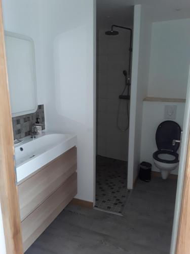 a bathroom with a white sink and a toilet at Gite de la Diligence in Le Fied