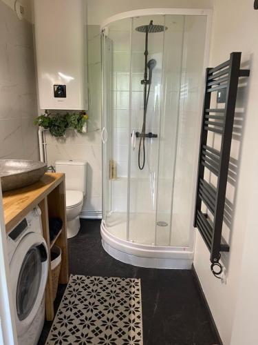 une salle de bain avec une douche avec des toilettes et un lavabo dans l'établissement Studio quartier prisé de la Genette, à La Rochelle