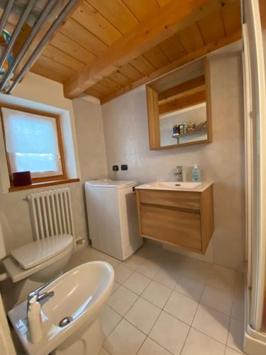 ein Bad mit einem Waschbecken und einem WC in der Unterkunft La Guida e l'Architetto in Saint-Rhémy-en-Bosses
