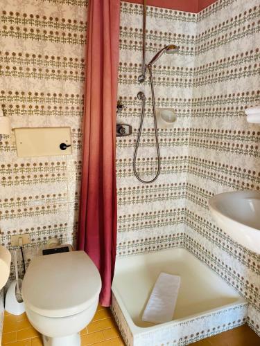 a bathroom with a toilet and a shower and a sink at Glacier Rock guesthouse ex Pension Dangl in Solda