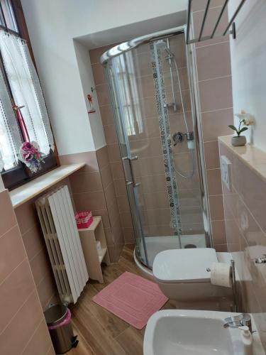 a bathroom with a shower and a toilet at Casa dell'Agrifoglio in Caselette