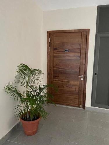 a plant in a pot next to a wooden door at Stylish & Luxury 2-bed parkside apart with pool in Phoenix