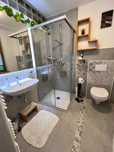 ein Bad mit einer Dusche, einem WC und einem Waschbecken in der Unterkunft Obere Altstadt in Goslar