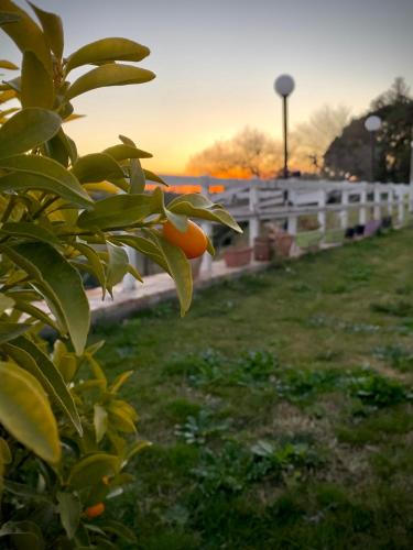 Villa Verde – Photos 4