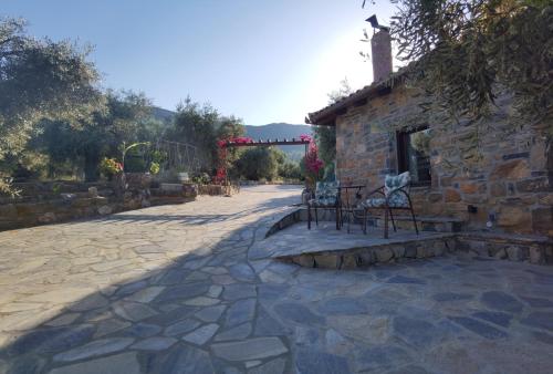 A garden outside Elaion Thea2-Nies
