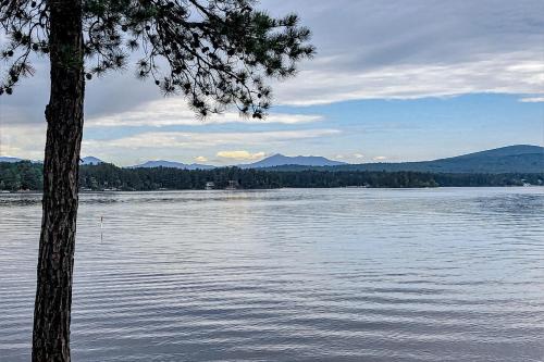 a lake with a tree and mountains in the background at Lake House Retreat in Ossipee