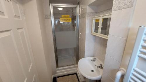 a bathroom with a shower and a sink at Tennyson Lodge in Mablethorpe
