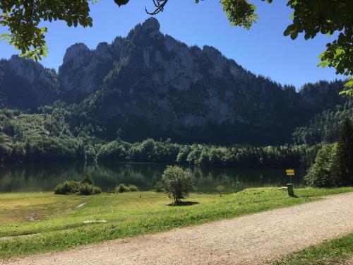 a road next to a lake with a mountain at Bernhard Schmidt-Gasse in Gmunden