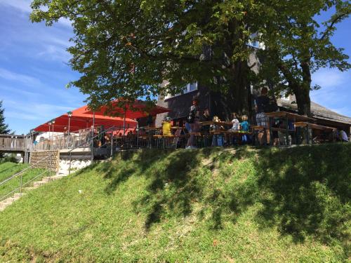 a group of people sitting at a table under a tree at Bernhard Schmidt-Gasse in Gmunden