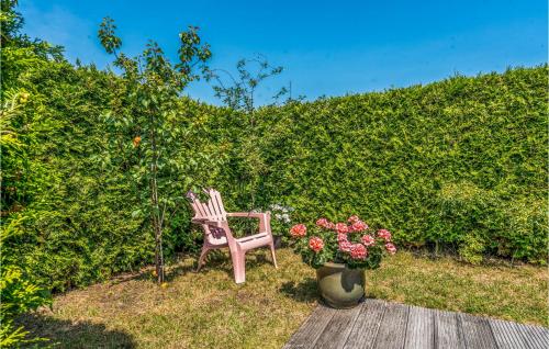 a pink chair sitting next to a pot of flowers at Cozy Home In Bruinisse With Wifi in Bruinisse