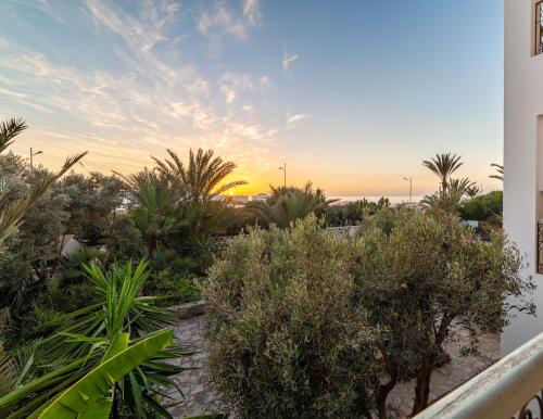 a view of a garden with trees and bushes at Le Riad Villa Blanche in Agadir