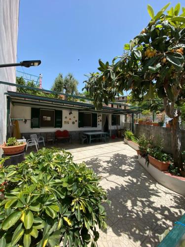 a building with a patio with plants and a tree at La casetta in Bova Marina