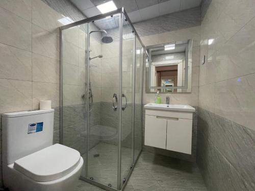 a bathroom with a shower and a toilet and a sink at Lux Apartment in Baku