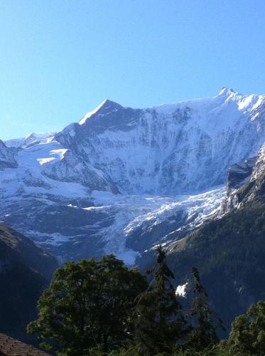 a view of a mountain with snow on it at Chalet Bodenwald in Grindelwald