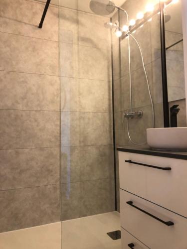 une douche avec une porte vitrée dans une salle de bain dans l'établissement Sympathique appartement en bord d'océan, à Lacanau