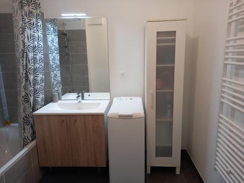 une salle de bain avec un lavabo et un miroir dans l'établissement Appartement résidence récente, à Bayonne
