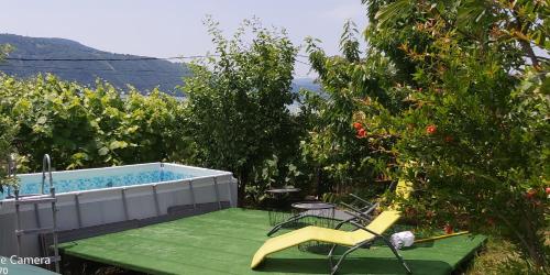 a garden with a pool and a yellow slide at Casa Melania in Eşelniţa