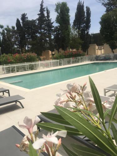 a swimming pool with pink flowers in front of it at Bastidon des Alpilles 11 in Saint-Rémy-de-Provence