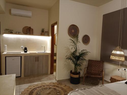uma cozinha com um lavatório e um vaso de plantas em Petra Lodge em Finikas