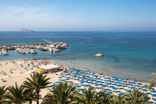 Casual Pop Art Benidorm by Casual Hoteles photo 33