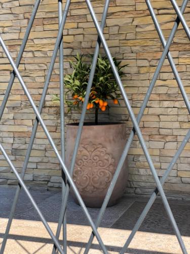 a plant in a pot against a brick wall at Apartmani CUBE A in Medulin