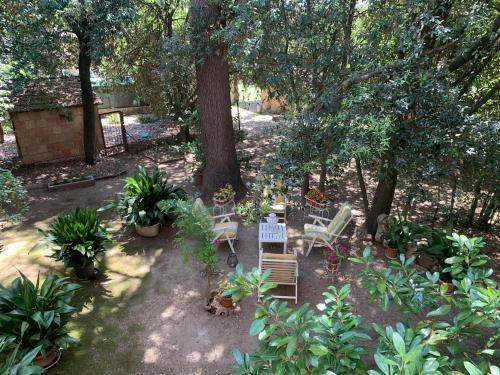 Giardino di Super attico della Brigata Spendereccia!